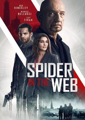    / Spider in the Web (2019) HDRip / BDRip (720p, 1080p)