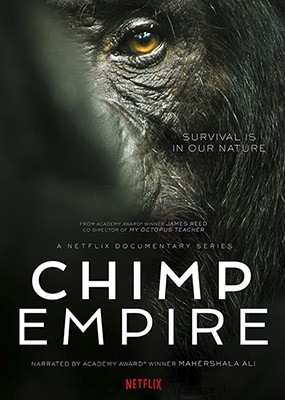 Империя шимпанзе / Chimp Empire - 1 сезон (2023) WEB-DLRip / WEB-DL (1080p)