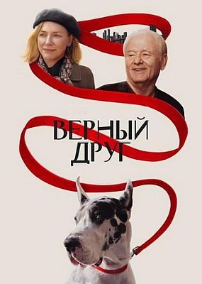 Верный друг / The Friend (2024) WEB-DLRip