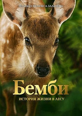 .     / Bambi: A Tale of Life in the Woods (2024) HDRip / BDRip (1080p)