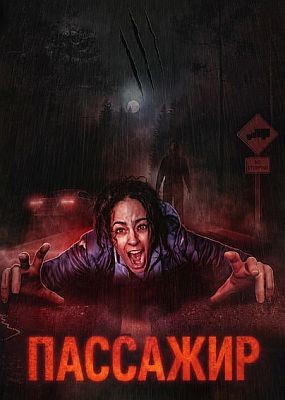 �������� / Passenger (2026) WEB-DLRip / WEB-DL (1080p)