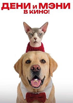 ���� � ���� � ����! (2026) WEB-DLRip / WEB-DL (1080p)