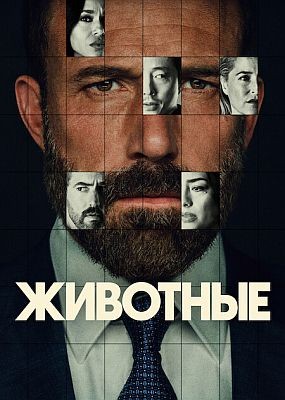 �������� / Animals (2026) WEB-DLRip / WEB-DL (1080p)
