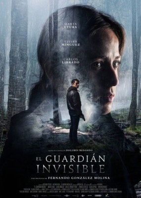   / The Invisible Guardian (2017) WEBRip