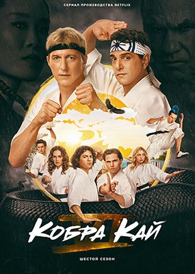   / Cobra Kai - 6  (2024) WEB-DLRip / WEB-DL (1080p)