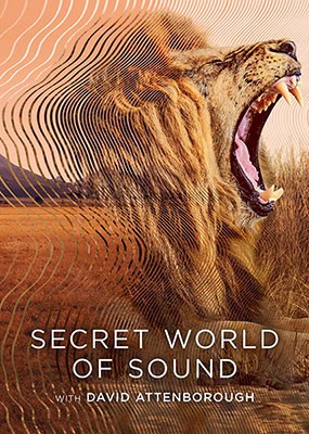       / Secret World of Sound with David Attenborough - 1  (2024) WEB-DLRip / WEB-DL (1080p)