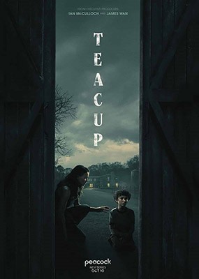   / Teacup - 1  (2024) WEB-DLRip / WEB-DL (1080p)