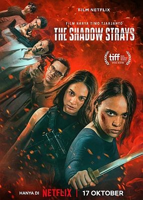   / The Shadow Strays (2024) WEB-DLRip