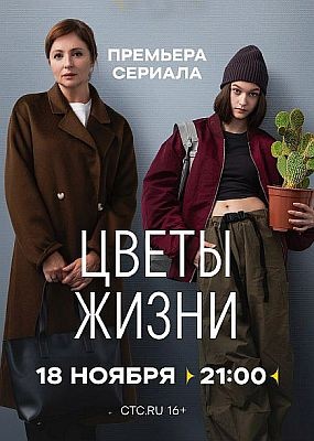   - 1  (2024) WEB-DLRip / WEB-DL (1080p)