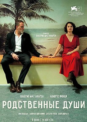   / Nonostante (2024) HDRip / BDRip (1080p)