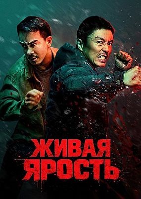 ����� ������ / Fo ze ngaan (2026) WEB-DLRip